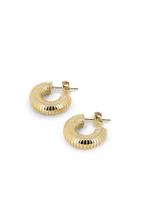 Boucles Ebony