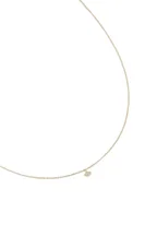 Collier Oxy