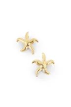 Boucles Starrie