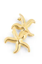 Boucles Starrie