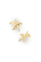 Boucles Starrie