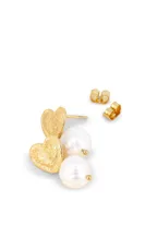 Boucles Aloé