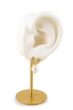 Boucles Aloé