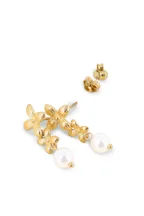 Boucles Chrysanta