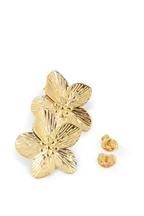 Boucles Alida
