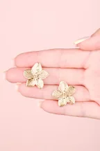 Boucles Alida