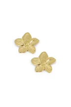 Boucles Johanna