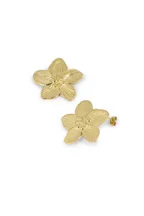 Boucles Johanna