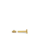 Piercing Darielle