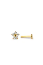 Piercing Enza