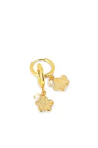 Boucles Nolane