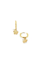 Boucles Nolane