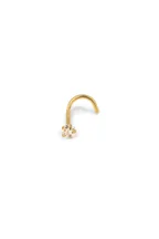 Piercing Raphaella