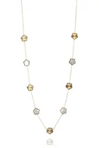 Collier Marine