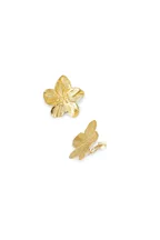 Boucles Tiphanie