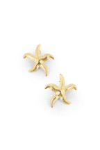 Boucles Starrie