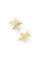 Boucles Starrie