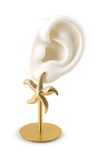 Boucles Starrie