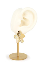 Boucles Alida