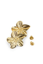 Boucles Suzon