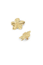 Boucles Suzon