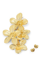 Boucles Antonie