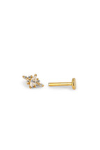 Piercing Orane