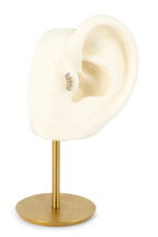 Piercing Horine