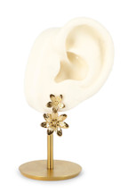 Boucles Assna