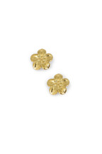 Boucles Cyliane