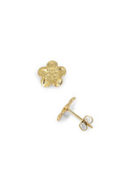 Boucles Cyliane