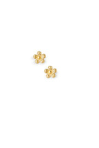 Boucles Appoline