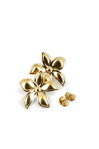 Boucles Sarah
