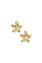 Boucles Lisette