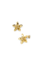 Boucles Roscille