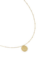 collier lion