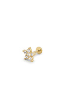 Piercing Dahlia