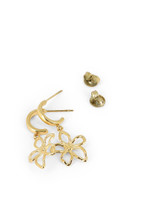 Boucles Nériée