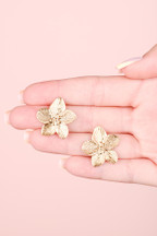 Boucles Alida