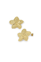 Boucles Johanna