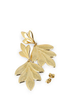 Boucles Sabine