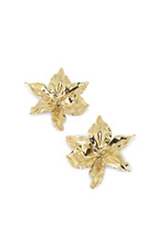 Boucles Marienn
