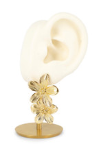Boucles Antonie