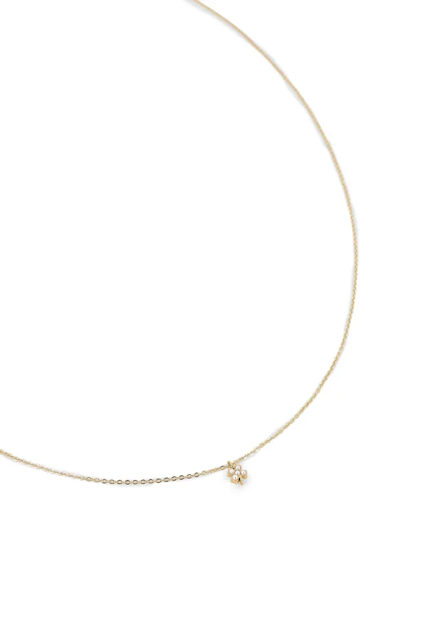 Collier Edelweiss