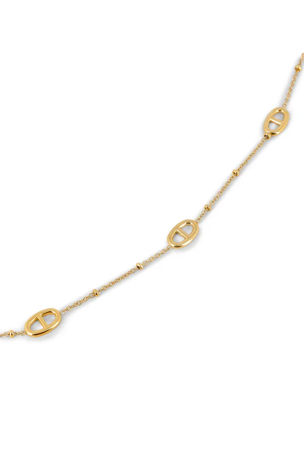 Collier Taylor