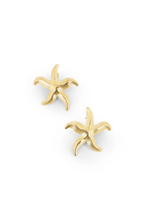 Boucles Starrie