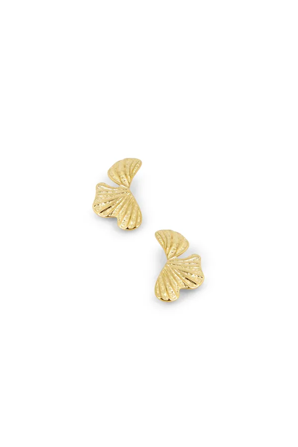Boucles Sage