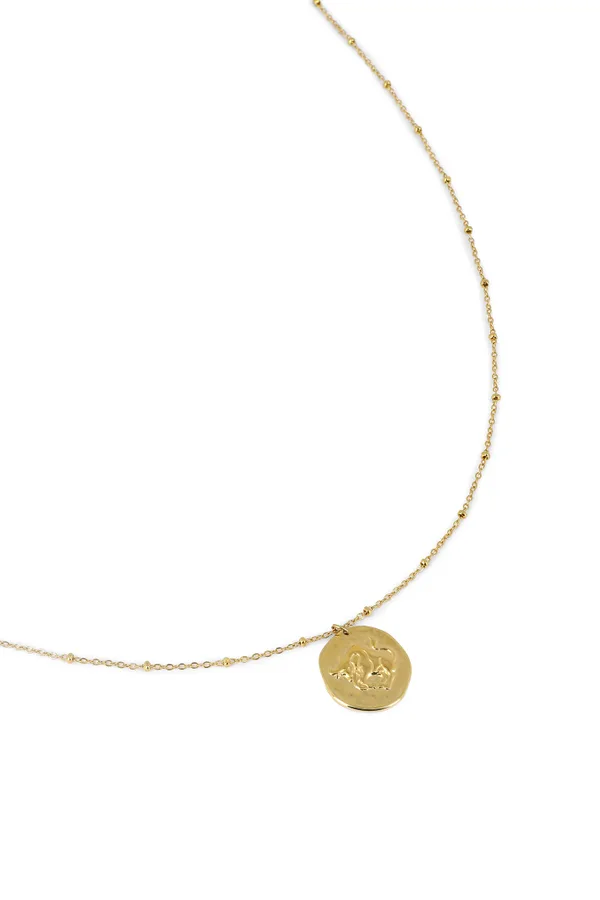 collier taureau