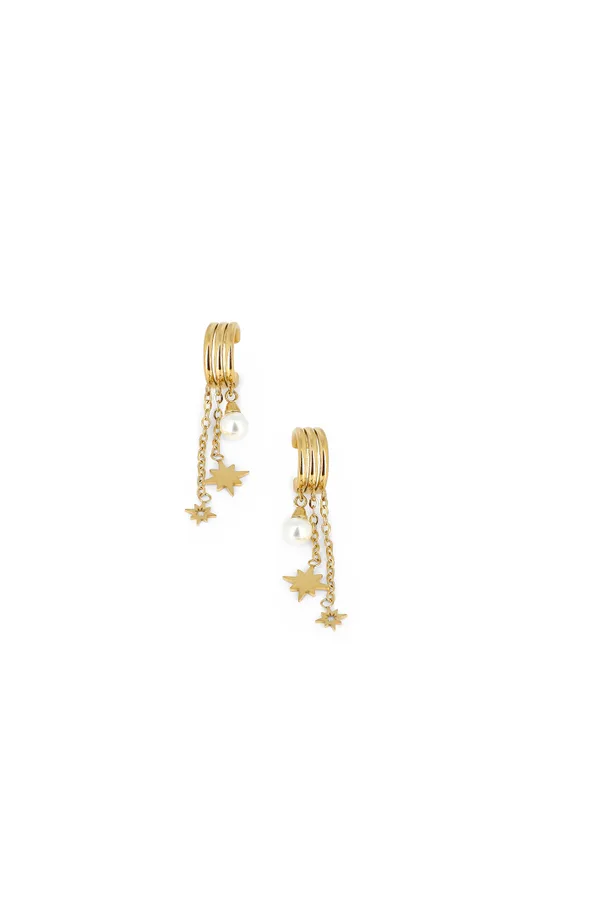 Boucles Hortensine