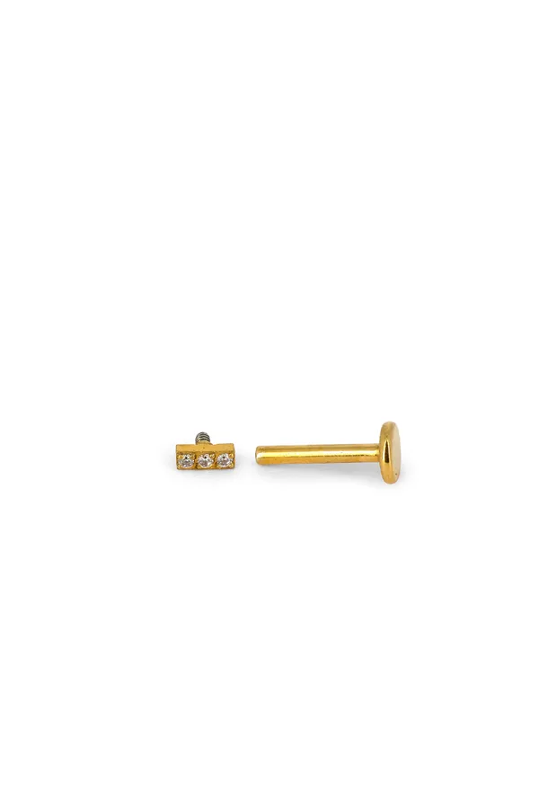 Piercing Darielle